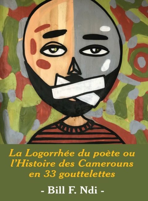 Langaa Research and Publishing Common Initiative Group - Voicing ...