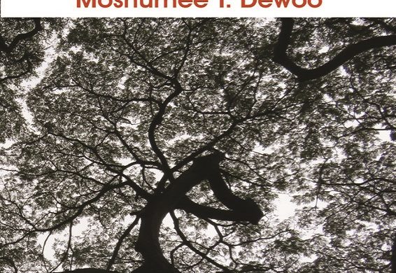 Transgressing Frontiers - Langaa Research and Publishing Common ...