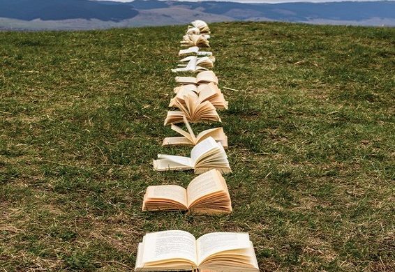 Shona Sentential Names Langaa Research And Publishing Common